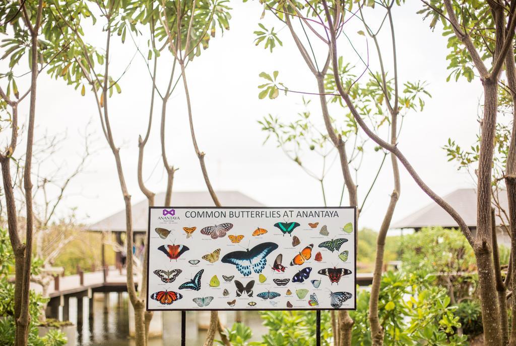 Anantaya Resort & Spa Chilaw Exterior photo